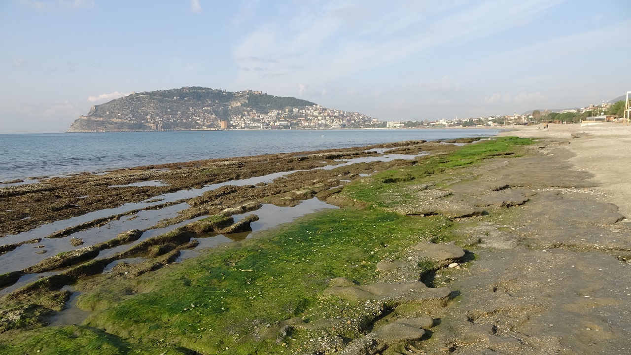 Foto - Tedirgin eden görüntü! Deniz suyu 7-8 metre çekildi