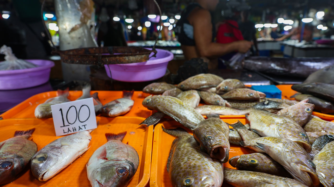 Foto - Tehlike adım adım yaklaşıyor! Vaat edilmiş toprak Palawan’da sessizlik bozuluyor