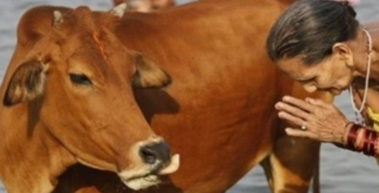 Foto - Tehlike arz etse de tüm dünyada sürdürülüyor! Yunanlıların ilginç ‘savaş’ı şaşırttı