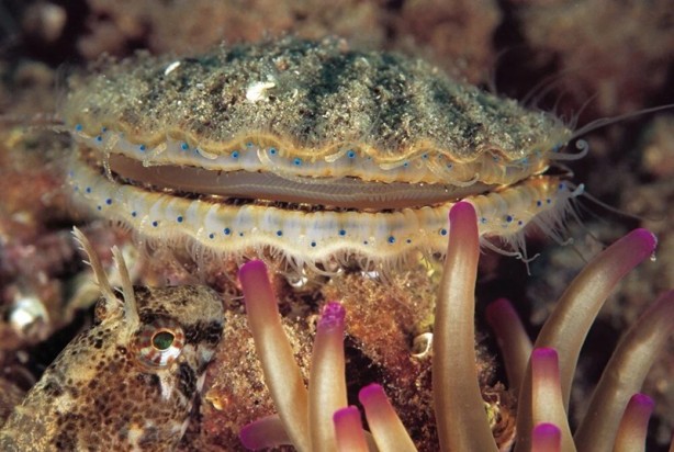 Foto - Tehlike çanları! Akdeniz için endişelendiren durum