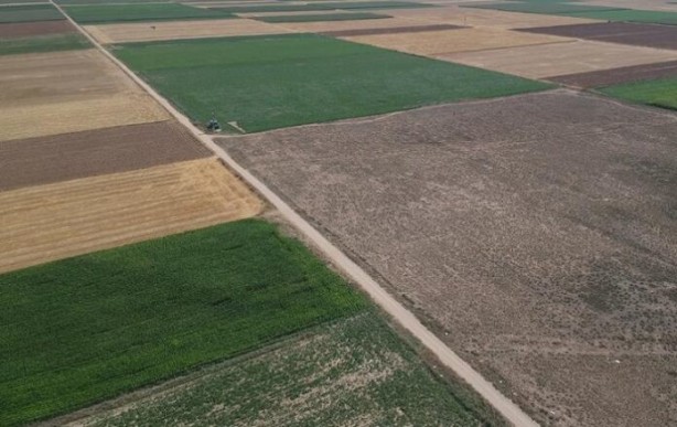 Foto - Tehlike çok büyük çok! 'Hükümet sorun yok' diyor ama İsrailliler ve Ruslar çılgınlar gibi tarım arazisi topluyor