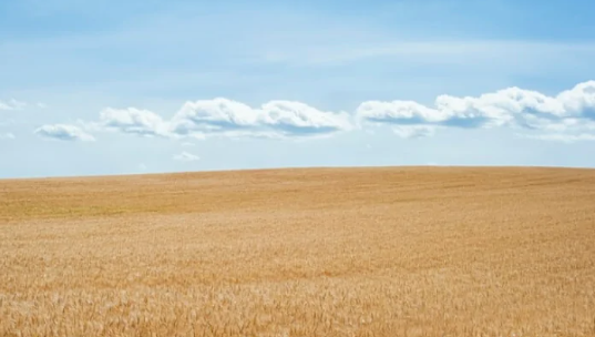 Foto - Tehlike çok büyük çok! 'Hükümet sorun yok' diyor ama İsrailliler ve Ruslar çılgınlar gibi tarım arazisi topluyor