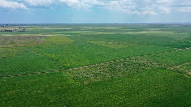 Foto - Tehlike çok büyük çok! 'Hükümet sorun yok' diyor ama İsrailliler ve Ruslar çılgınlar gibi tarım arazisi topluyor