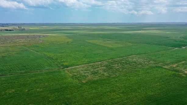 Foto - Tehlike çok büyük çok! 'Hükümet sorun yok' diyor ama İsrailliler ve Ruslar çılgınlar gibi tarım arazisi topluyor