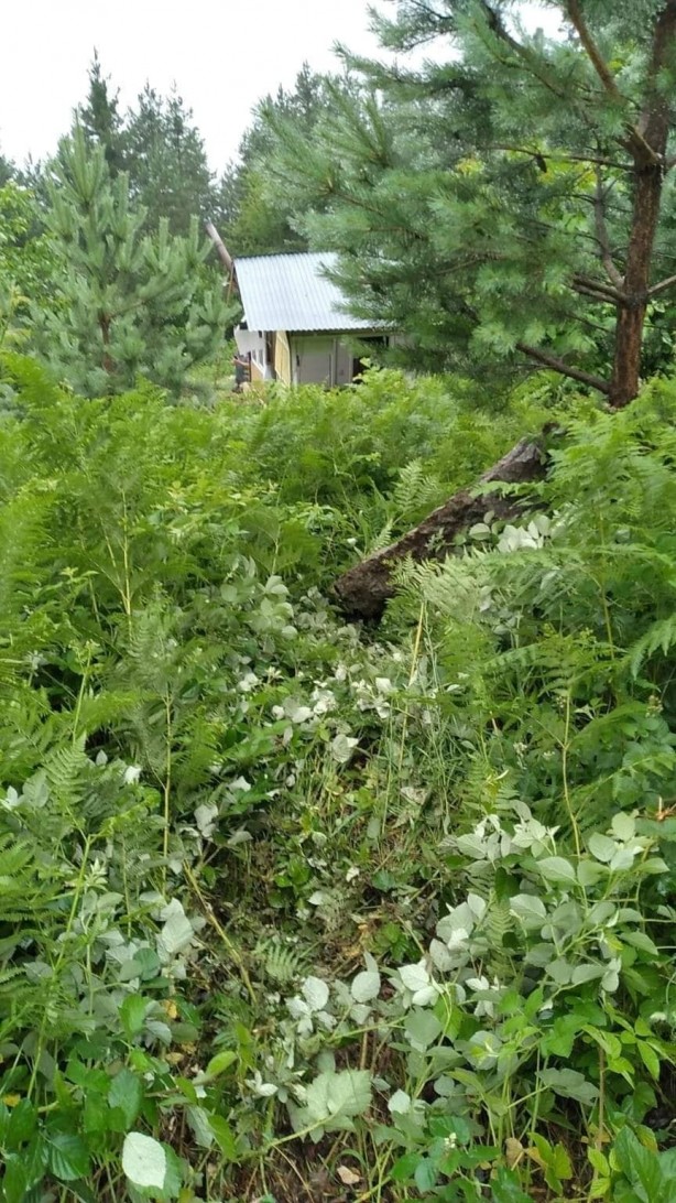 Foto - Tehlike dolu anlar! Yamaçtan kopan dev kaya parçası önüne çıkan her şeyi yıkıp geçti