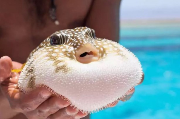 Foto - Tehlike giderek yayılıyor! Çanakkale Boğazı'na dayandı