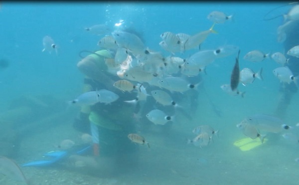 Foto - Tehlike her noktada büyüyor | Denizler istila edildi!