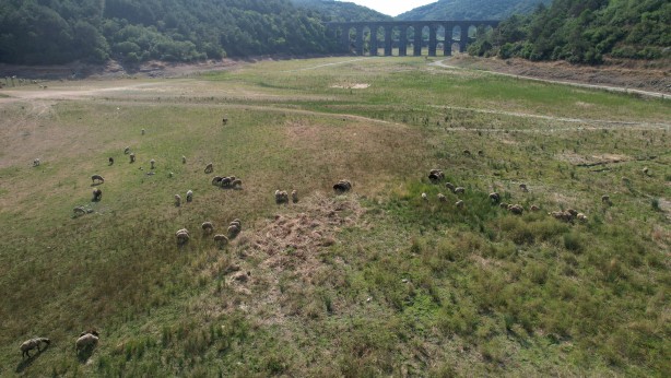 Foto - Tehlike kapıda Ekrem uykuda