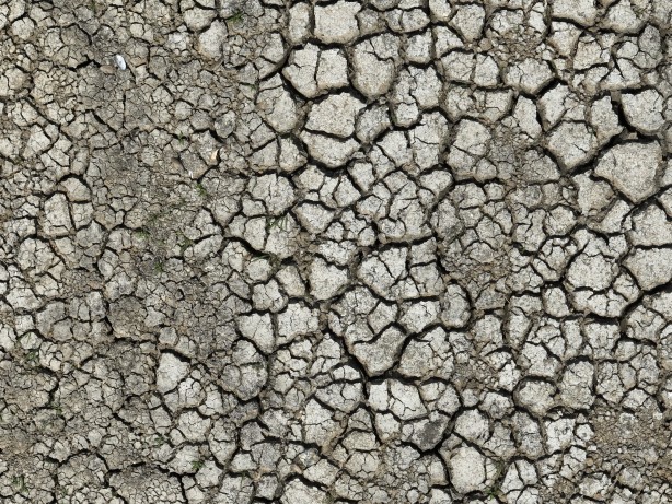 Foto - Tehlike kapıda Ekrem uykuda