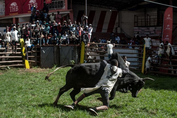 Foto - Tehlikeli gelenek: Savika