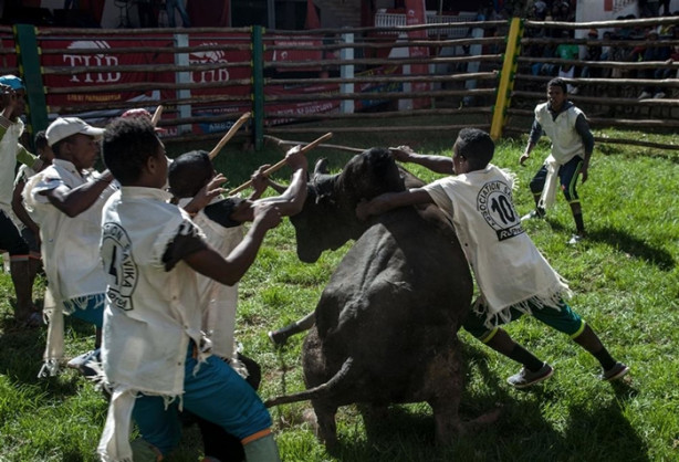 Foto - Tehlikeli gelenek: Savika