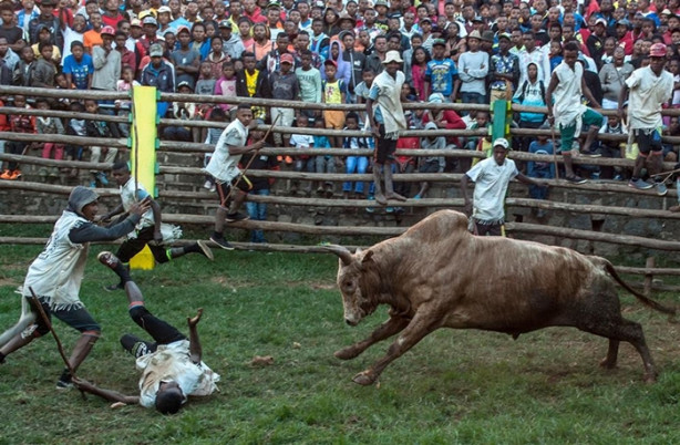 Foto - Tehlikeli gelenek: Savika
