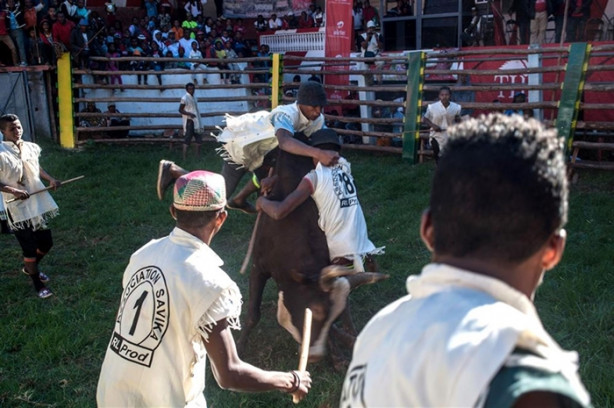 Foto - Tehlikeli gelenek: Savika