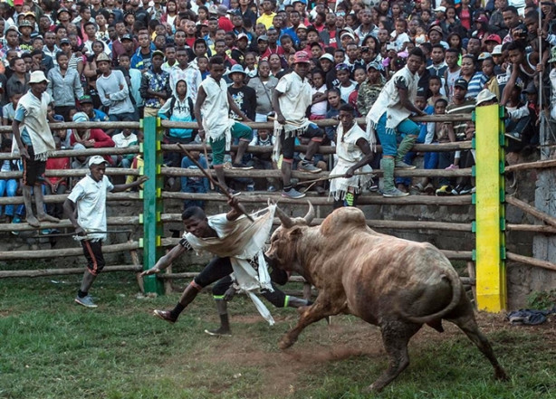 Tehlikeli gelenek: Savika