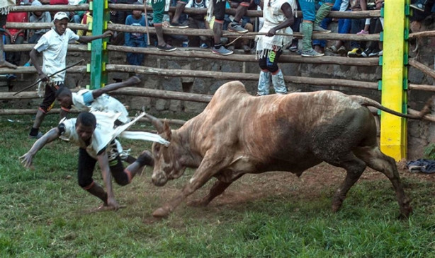 Foto - Tehlikeli gelenek: Savika