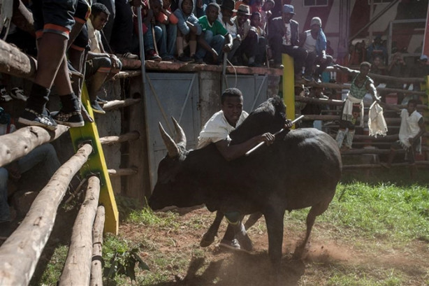 Foto - Tehlikeli gelenek: Savika
