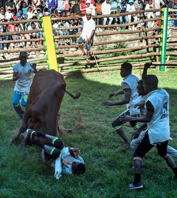 Foto - Tehlikeli gelenek: Savika
