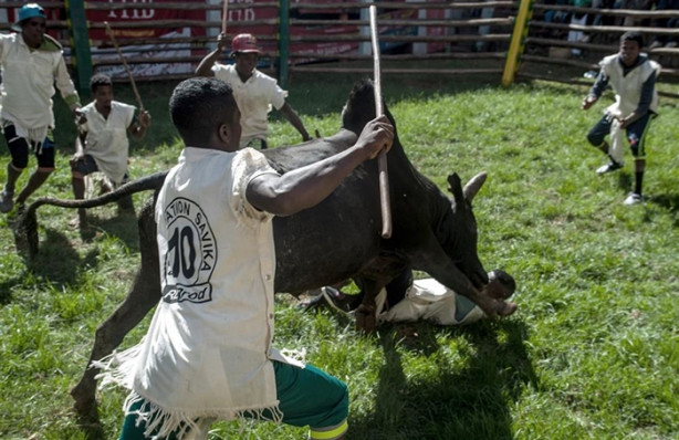 Foto - Tehlikeli gelenek: Savika