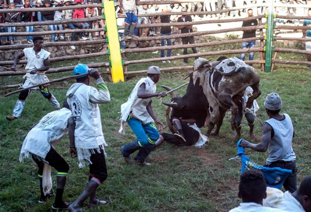 Foto - Tehlikeli gelenek: Savika