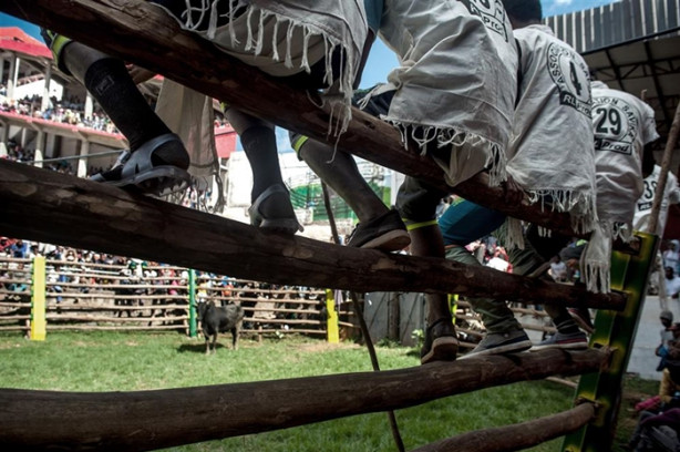 Foto - Tehlikeli gelenek: Savika