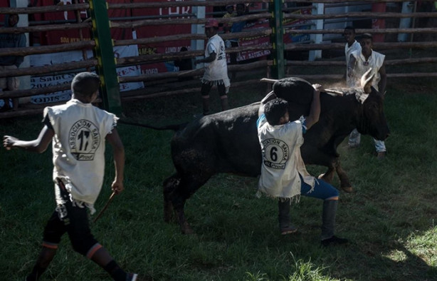 Foto - Tehlikeli gelenek: Savika