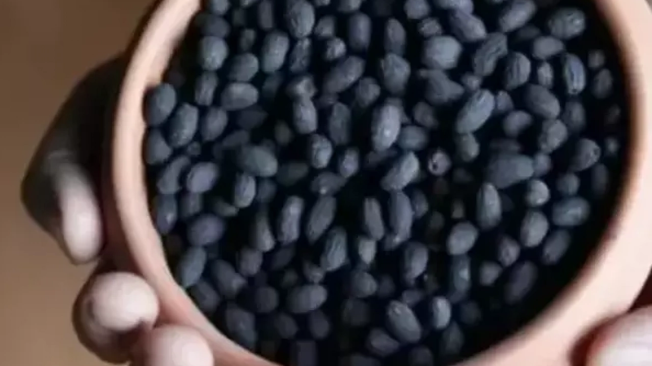 Tehlikeli mi sağlıklı mı? Zeytin çekirdeği yutulursa ne olur? Uzmanlar o sorunun cevabını verdi...