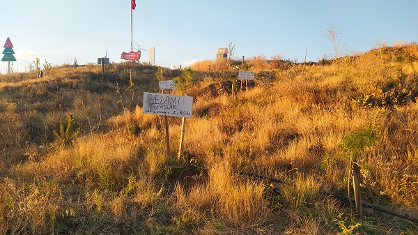 Foto - Tek amacı bozkırı yeşertmek
