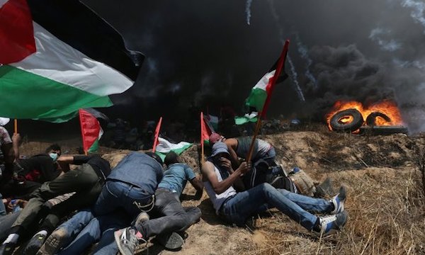 Foto - Tek kelimeyle alçaksınız! Sizde hiç utanma arlanma yok mu