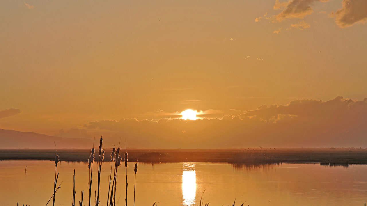Foto - Tek tek veda ediyorlar! İron Sazlığı’nda göç zamanı