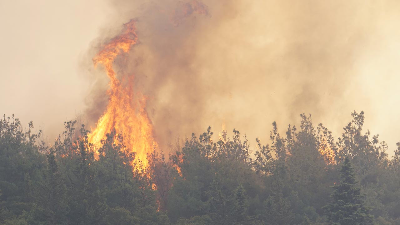 Foto - Tekirdağ ve Çanakkale yanıyor! Orman yangını otoyolu kapattı