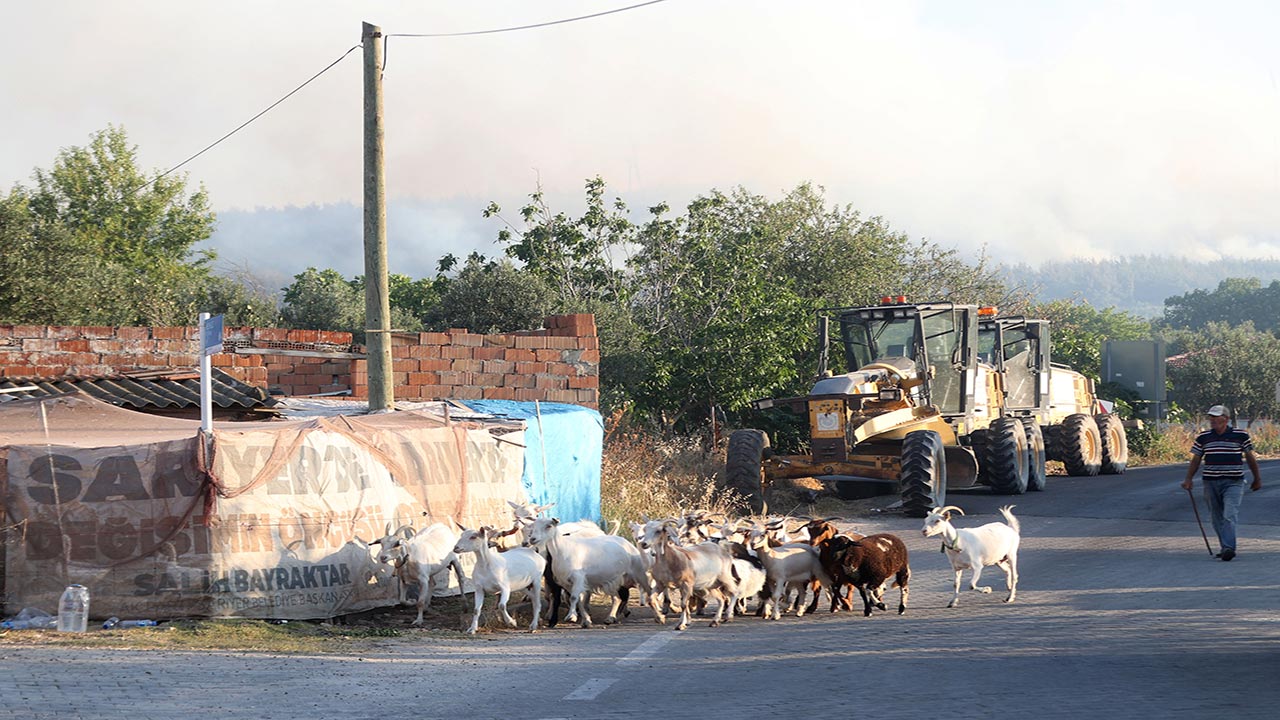 Foto - Tekirdağ ve Çanakkale yanıyor! Orman yangını otoyolu kapattı