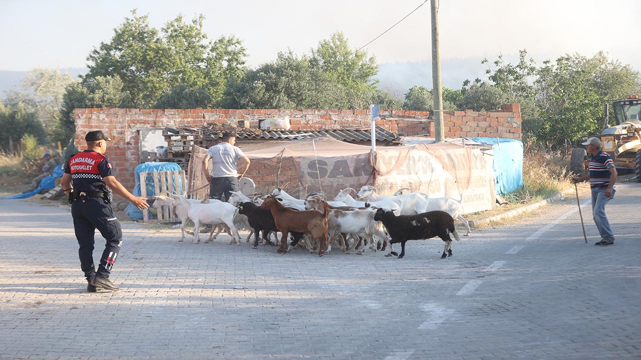 Foto - Tekirdağ ve Çanakkale yanıyor! Orman yangını otoyolu kapattı