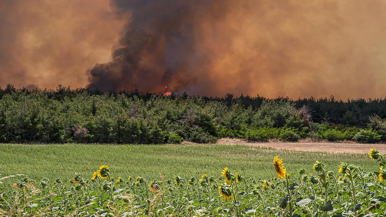 Foto - Tekirdağ ve Çanakkale yanıyor! Orman yangını otoyolu kapattı