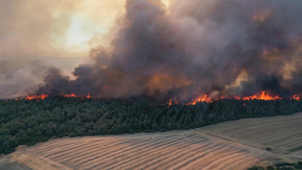 Foto - Tekirdağ ve Çanakkale yanıyor! Orman yangını otoyolu kapattı