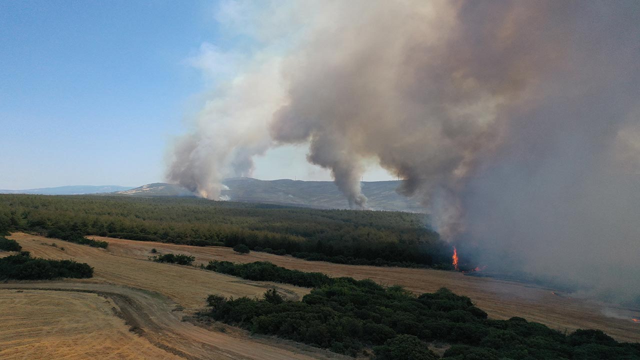 Foto - Tekirdağ ve Çanakkale yanıyor! Orman yangını otoyolu kapattı