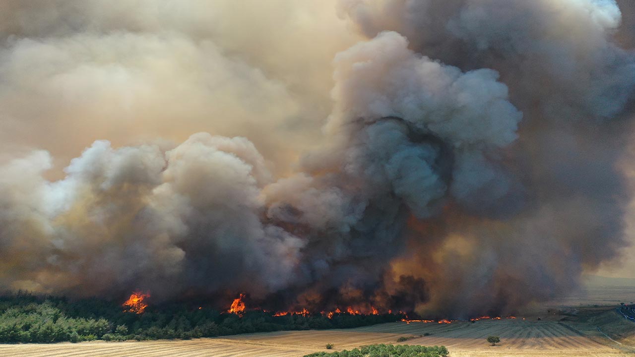 Foto - Tekirdağ ve Çanakkale yanıyor! Orman yangını otoyolu kapattı