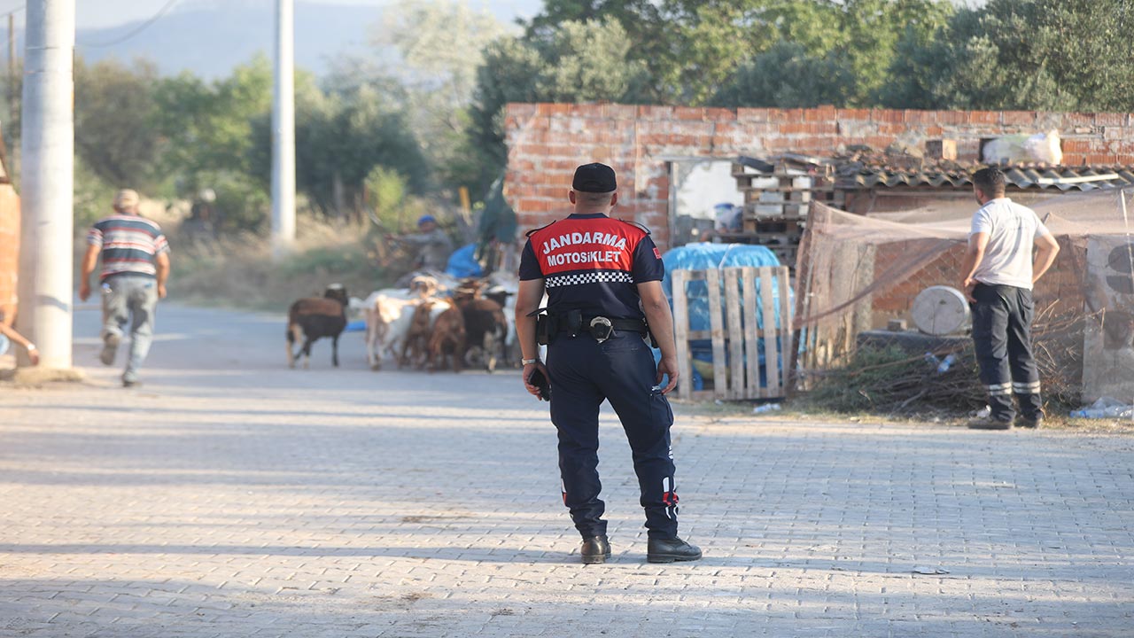 Foto - Tekirdağ ve Çanakkale yanıyor! Orman yangını otoyolu kapattı