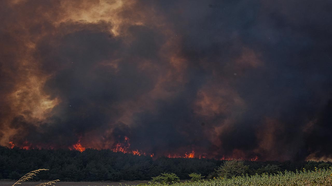 Foto - Tekirdağ ve Çanakkale yanıyor! Orman yangını otoyolu kapattı