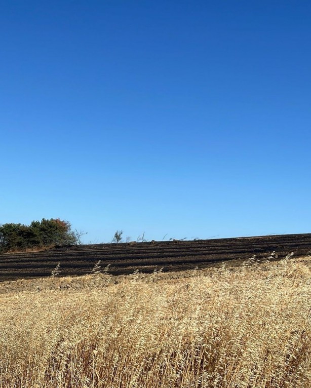 Foto - Tekirdağ’da alev alev yanan buğday tarlası küle döndü