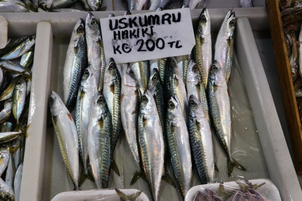 Foto - Tekirdağ'da balıkçılar denize açılamayınca balık fiyatları arttı