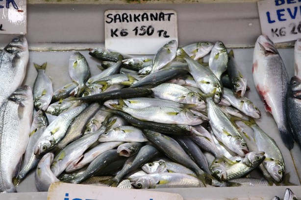Foto - Tekirdağ'da balıkçılar denize açılamayınca balık fiyatları arttı