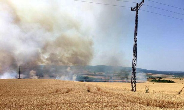 Foto - Tekirdağ'da buğday ve arpa ekili tarla yandı