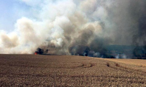 Foto - Tekirdağ'da buğday ve arpa ekili tarla yandı