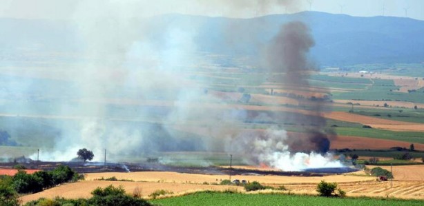 Foto - Tekirdağ'da buğday ve arpa ekili tarla yandı