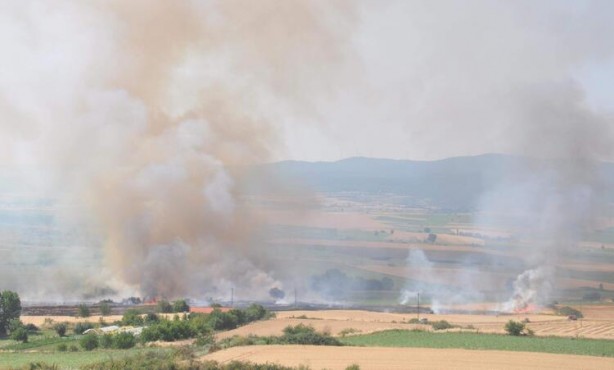 Foto - Tekirdağ'da buğday ve arpa ekili tarla yandı