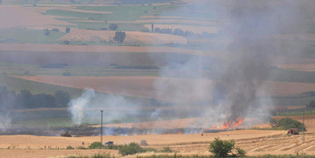 Tekirdağ'da buğday ve arpa ekili tarla yandı