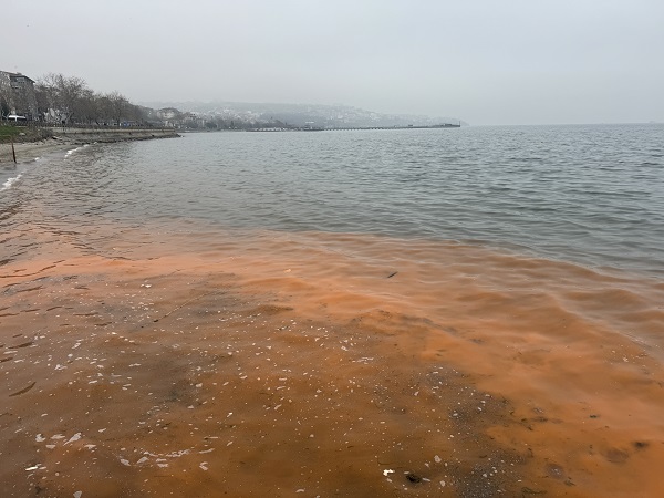 Foto - Tekirdağ'da deniz suyunun rengi değişti