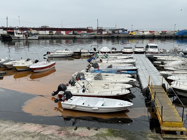Foto - Tekirdağ’da denizin rengi değişti! İşte sebebi