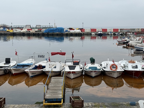 Foto - Tekirdağ’da denizin rengi değişti! İşte sebebi