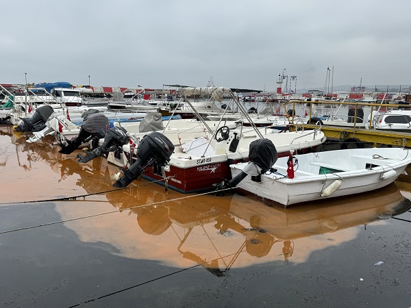 Foto - Tekirdağ’da denizin rengi değişti! İşte sebebi